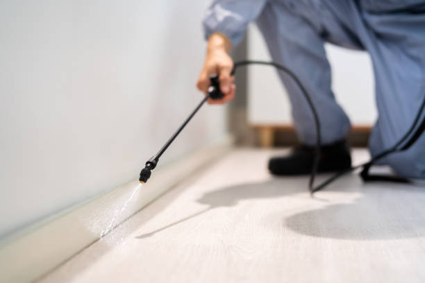 Licensed Cockroach Control service in Woodstock, VA - Nex Pest Control