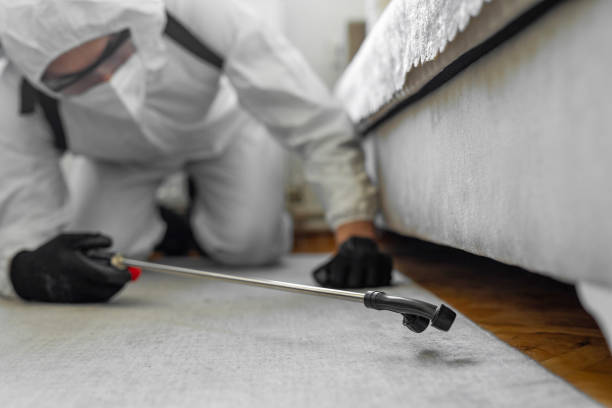 Professional Cockroach Control technician working in Woodstock, VA