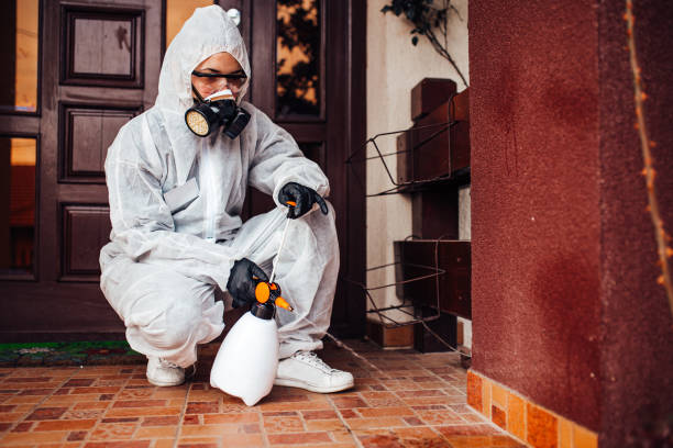 Reliable Cockroach Control contractor in Woodstock, VA by Nex Pest Control